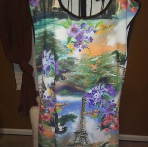 Sleeveless Fitted dress